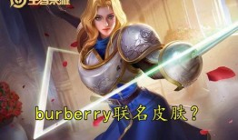 巴兹皮肤爆料视频最新,揭秘最新游戏角色造型与背景故事