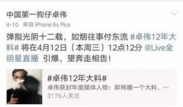 卓伟最新爆料白百何,卓伟最新爆料揭露惊人真相